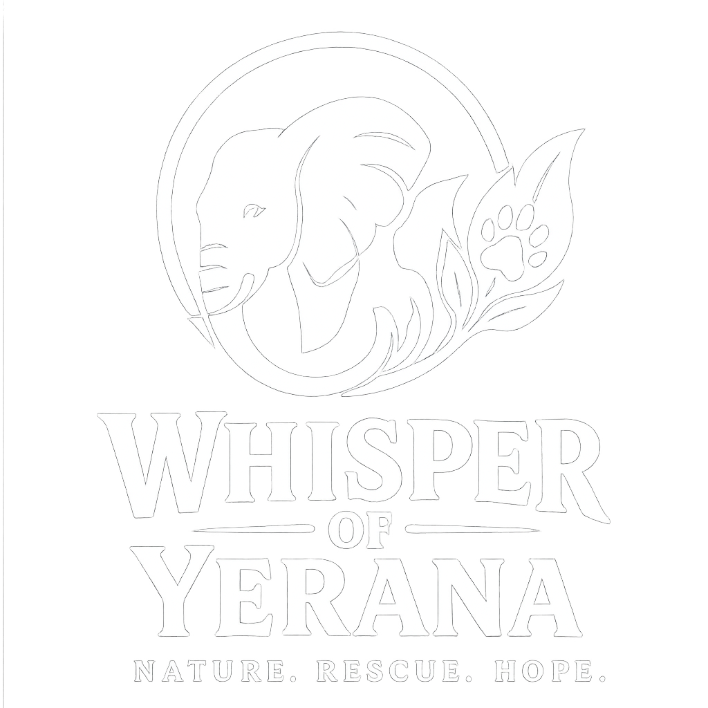 Whispers_of_Yerana_Gamifiacation_Naturerlebnis_Tierrettung_Naturschutz